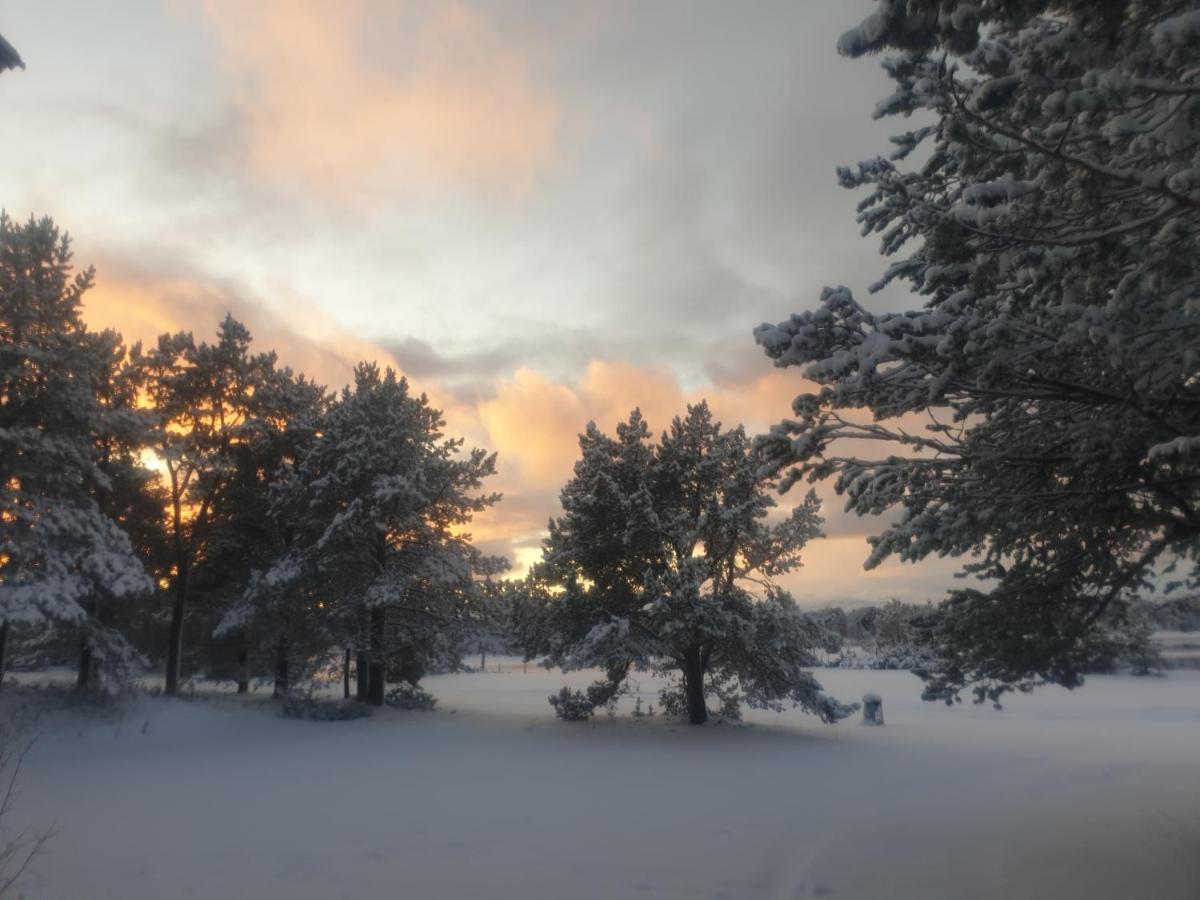 Solvang Camping Og Leirsted Alta Bagian luar foto