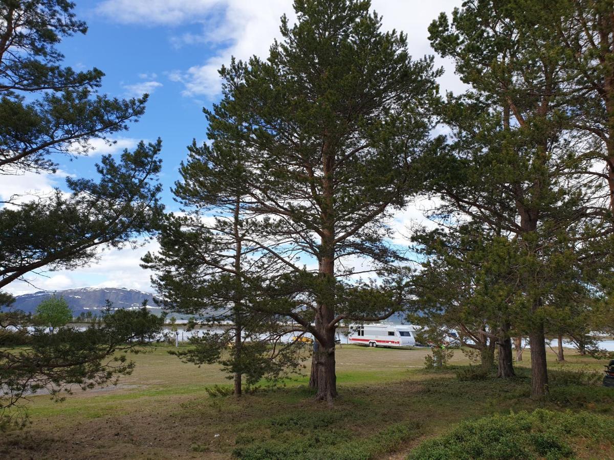 Solvang Camping Og Leirsted Alta Bagian luar foto