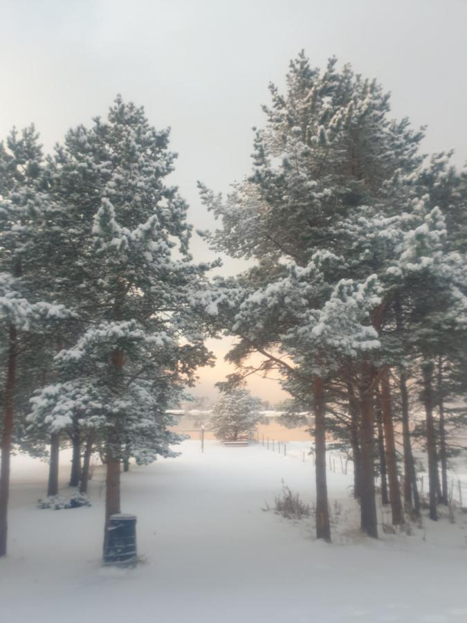 Solvang Camping Og Leirsted Alta Bagian luar foto